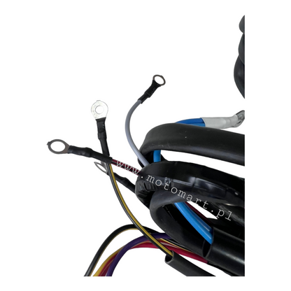 Instalacja elektryczna Dnaepr MT 12V DNIEPR lampa żarówka zapłon stop